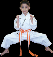 Port Credit Academy of Martial Arts - Student in Karate stance